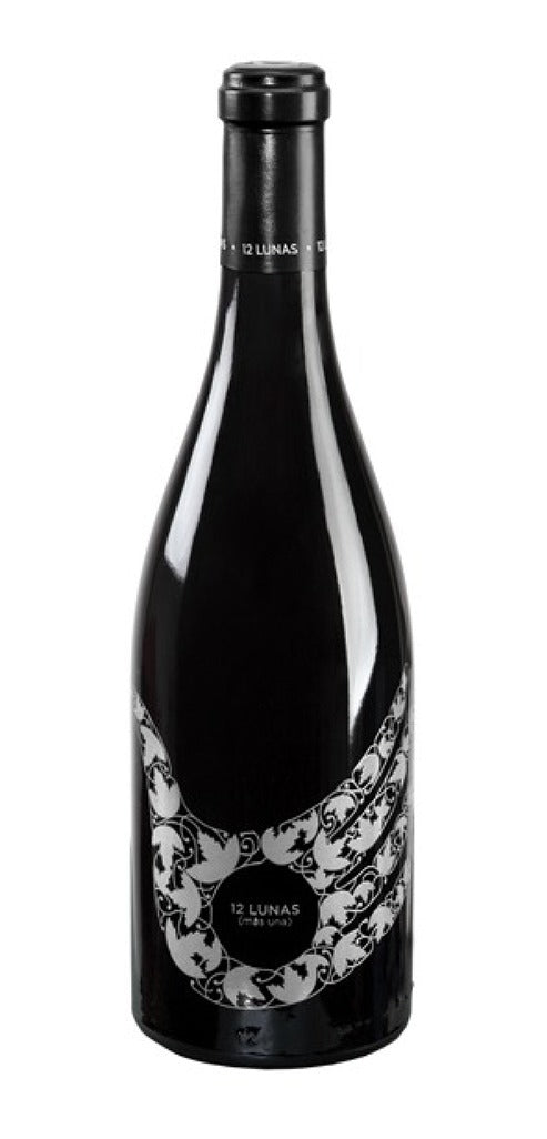 Vino Tinto Cabernet Sauvignon Santo Tomás 750 Ml