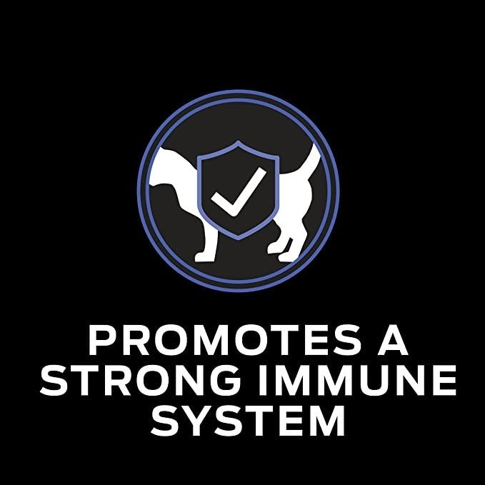 Veterinary Diets Fortiflora Felina 30 Sobres De 1gr C/u