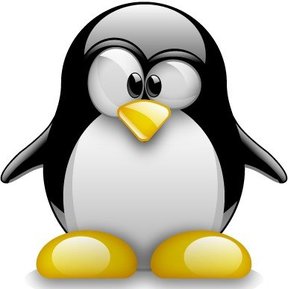 Vestidos Arena Nike NK7 8